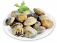 Vongole-veraci_8d0f53041e8dcba7